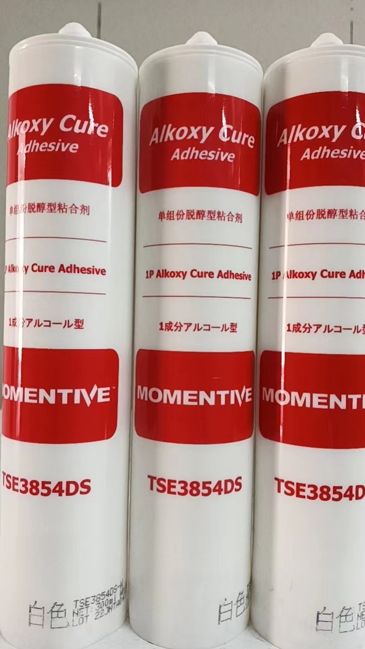 TSE3854DS